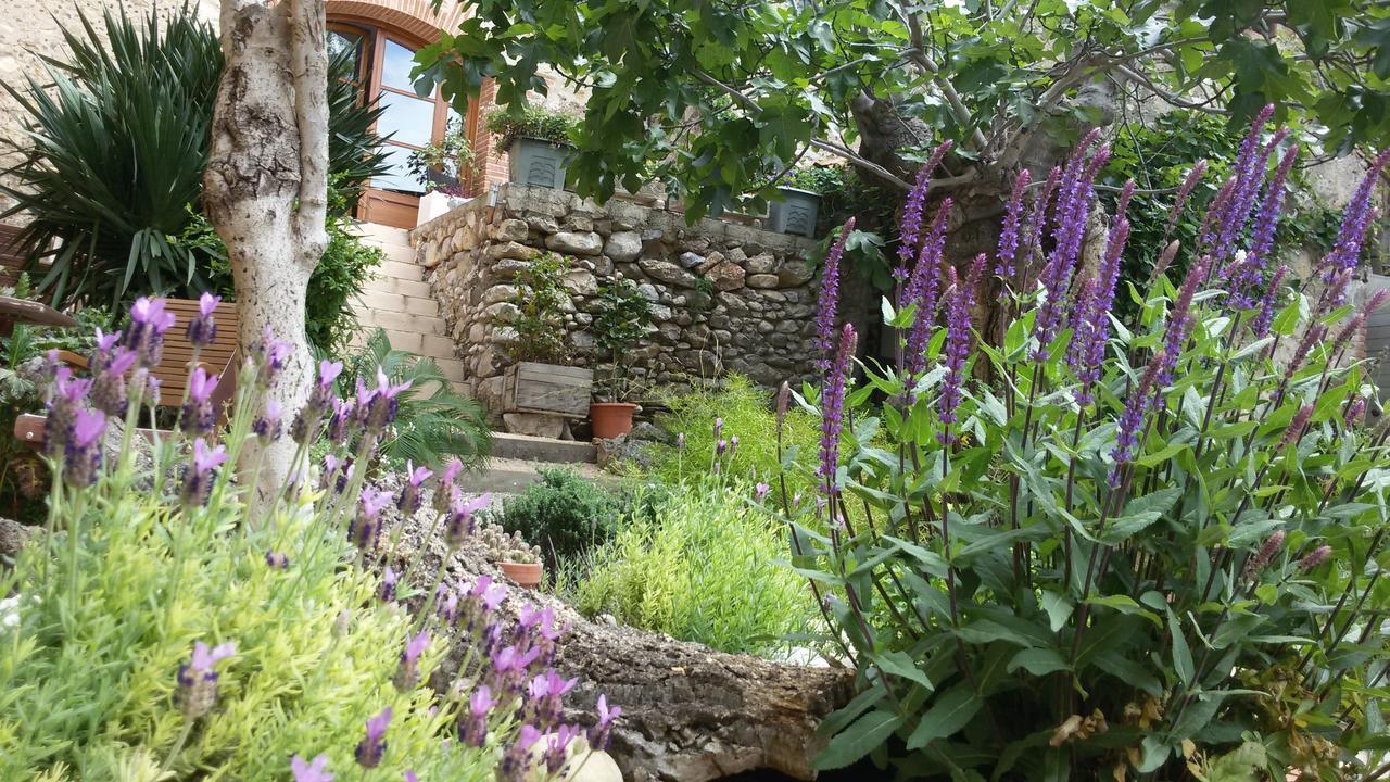 Bed and Breakfast L'Ile Aux Mimosas Tautavel Номер фото