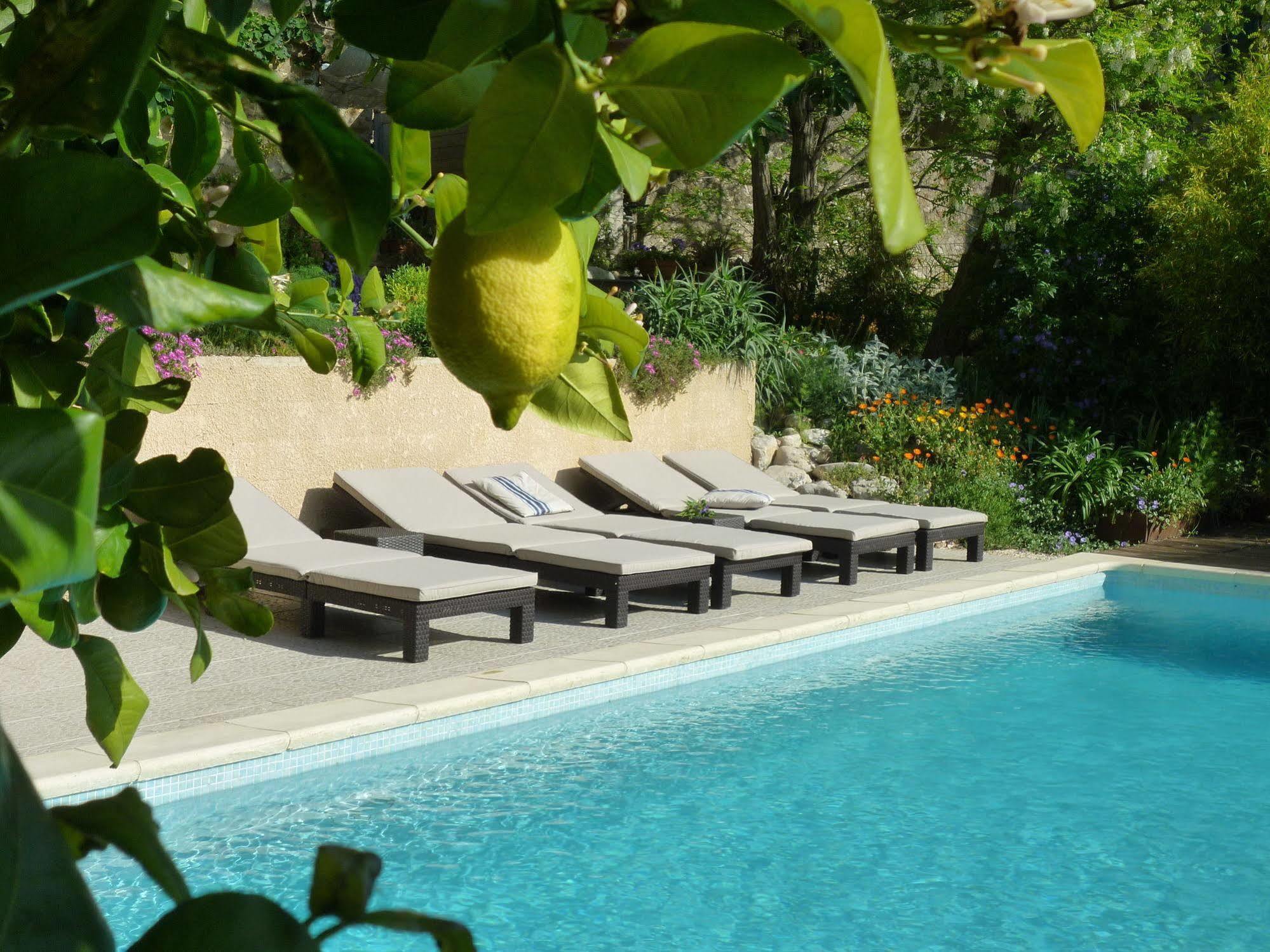 Bed and Breakfast L'Ile Aux Mimosas Tautavel Экстерьер фото